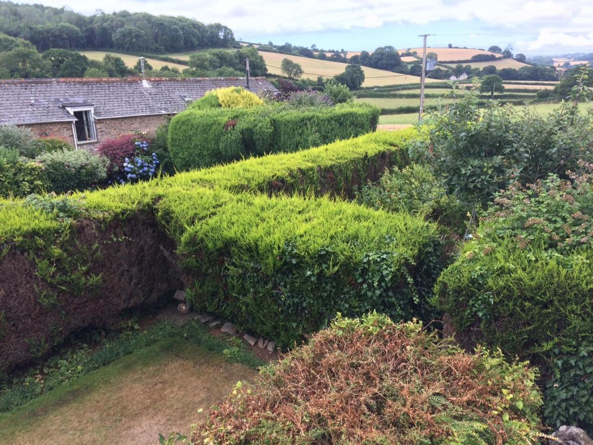The Grange Accommodation, Waye Farm, Ermington, Devon Holbeton Bagian luar foto